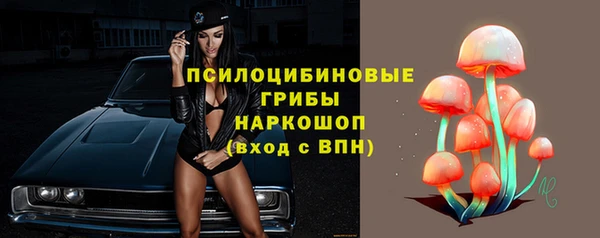 кокс Алексин