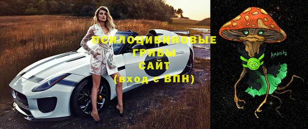 кокс Алексин